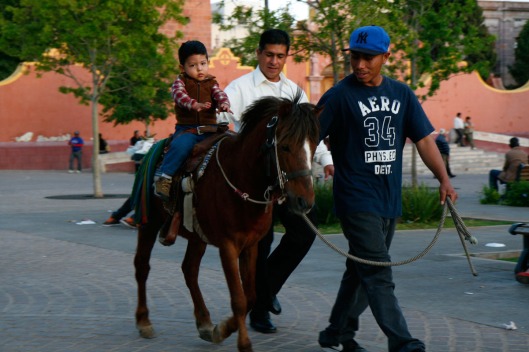 Pony Ride in the Plaza, Guadalupe, Zacatecas